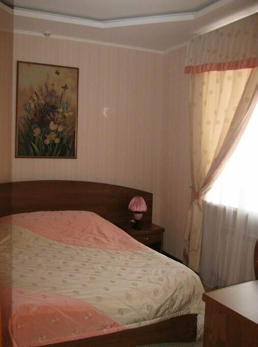 Гостиница Сибирь Томск-73